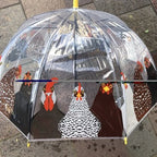 Ladies Hen Umbrella Walking Length Clear  Dome
