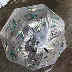 Ladies Swallows Umbrella Walking Length Clear Dome