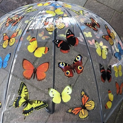 Ladies Butterflies Umbrella Walking Length Clear Dome