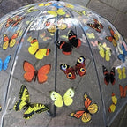 Ladies Butterflies Umbrella Walking Length Clear Dome