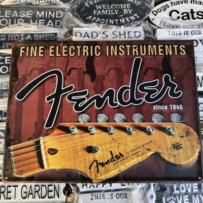 Fender Stratocaster Metal Dign