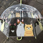 Ladies Cats Umbrella Walking Length Clear Dome