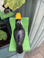Guinness Toucan Cast Iron Bookends