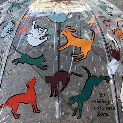 Ladies Raining Cats And Dogs Walking Length Clear Dome