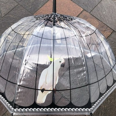 Ladies Parrot In Cage Umbrella Walking Length Clear Dome