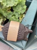 Hedgehog Secret Cast Iron Key Holder