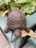 Tortoise Secret Cast Iron Key Holder