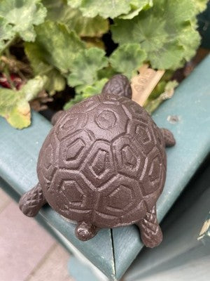 Tortoise Secret Cast Iron Key Holder