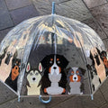 Ladies Dogs Umbrella Walking Length Clear Dome