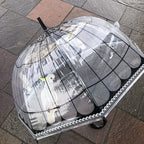 Ladies Parrot In Cage Umbrella Walking Length Clear Dome