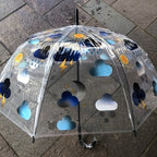 Ladies Weather Umbrella Walking Length Clear Dome