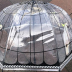 Ladies Parrot In Cage Umbrella Walking Length Clear Dome