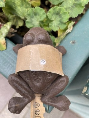 Frog Secret Cast Iron Key Holder