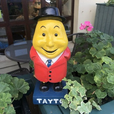 Mr Tayto Large