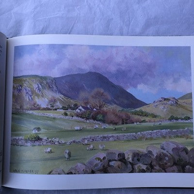 The Mournes By Colin Turner