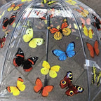 Ladies Butterflies Umbrella Walking Length Clear Dome