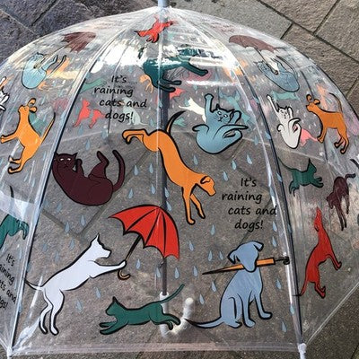 Ladies Raining Cats And Dogs Walking Length Clear Dome