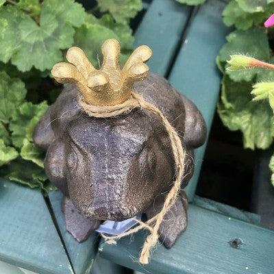 Prince Charming Frog Cast Iron With Lovely Gold Crown
