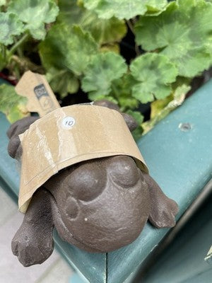 Frog Secret Cast Iron Key Holder