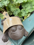 Frog Secret Cast Iron Key Holder