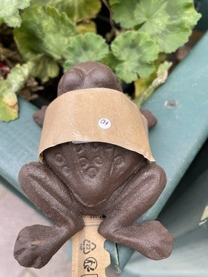 Frog Secret Cast Iron Key Holder
