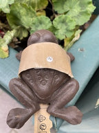 Frog Secret Cast Iron Key Holder
