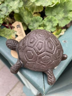 Tortoise Secret Cast Iron Key Holder