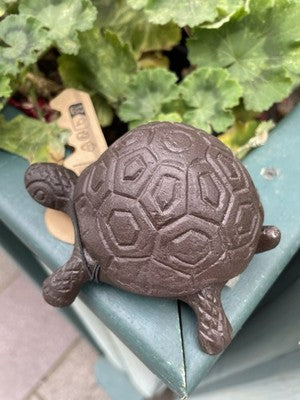 Tortoise Secret Cast Iron Key Holder