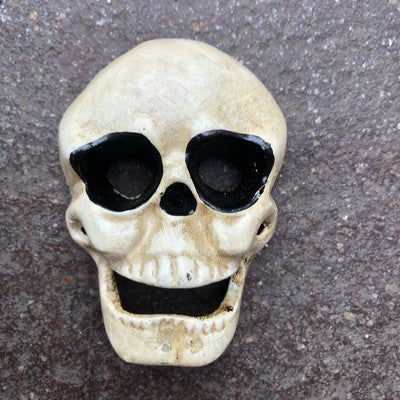 Skull Cast Iron Bottle Opener