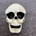 Skull Cast Iron Bottle Opener