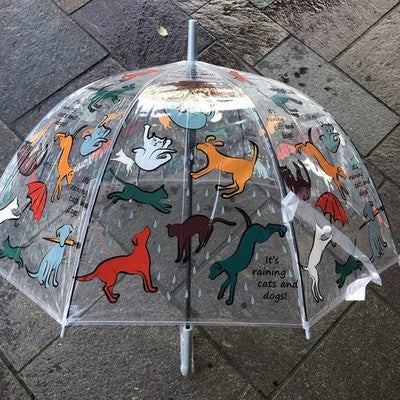 Ladies Raining Cats And Dogs Walking Length Clear Dome