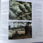 Readers Digest Illustrated Guide To Ireland
