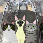 Ladies Cats Umbrella Walking Length Clear Dome