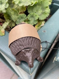 Hedgehog Secret Cast Iron Key Holder