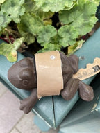 Frog Secret Cast Iron Key Holder