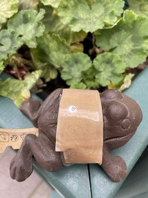 Frog Secret Cast Iron Key Holder