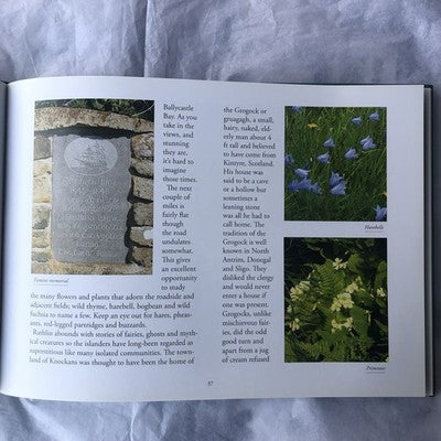 Rathlin An Island Odyssey By Bernard Davey