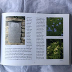 Rathlin An Island Odyssey By Bernard Davey