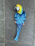 Parrot Wall Mounted Cast Iron 