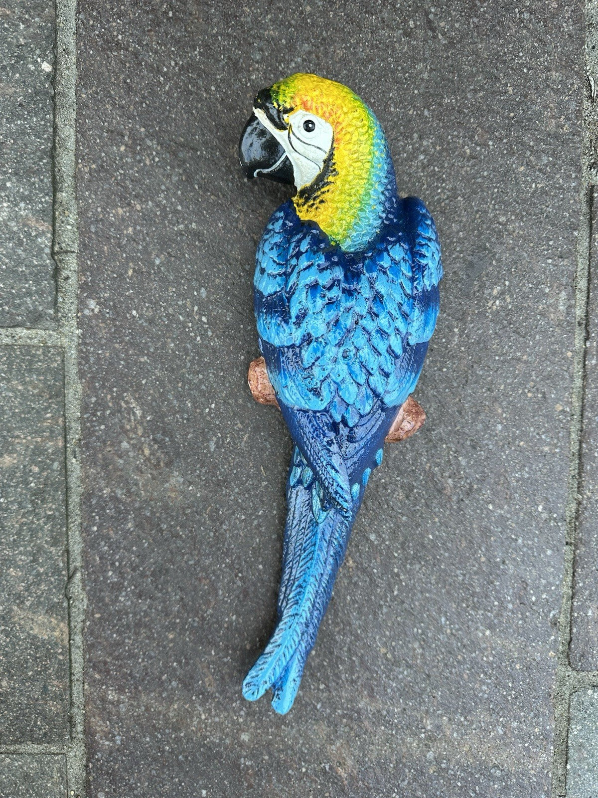 Parrot Wall Mounted Cast Iron 