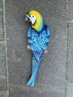 Parrot Wall Mounted Cast Iron 