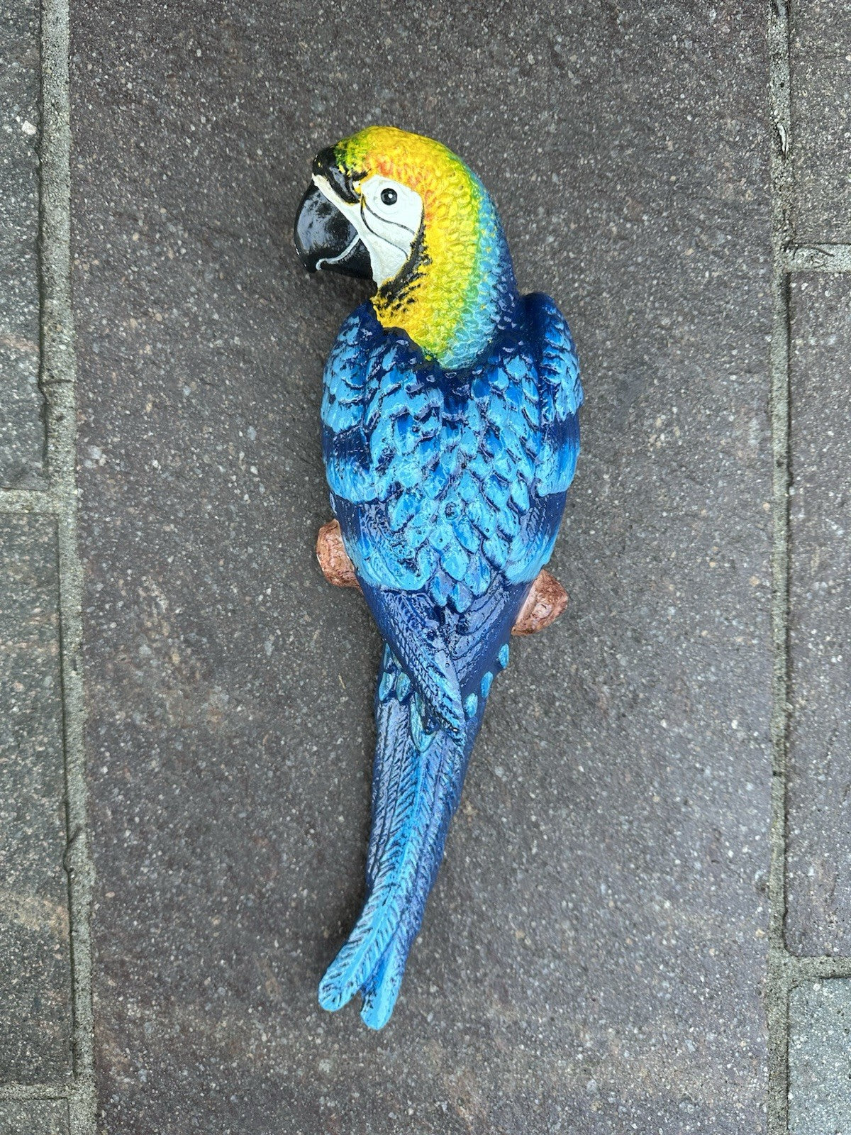 Parrot Wall Mounted Cast Iron 