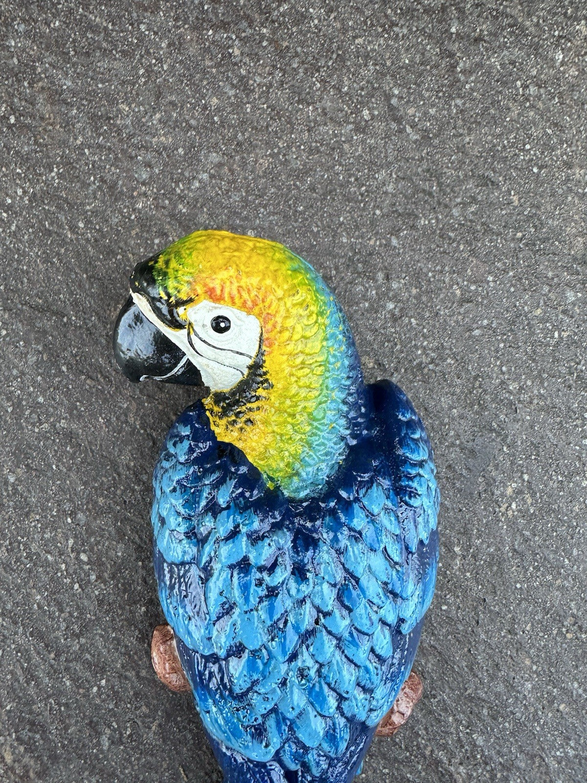 Parrot Wall Mounted Cast Iron 