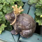 Prince Charming Frog Cast Iron With Lovely Gold Crown 