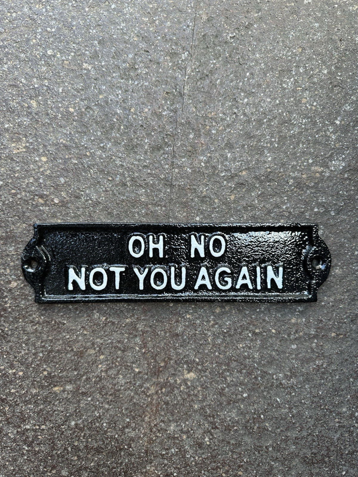 Oh No Not You Again Cast Iton Sign 