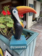 Guinness Toucan 