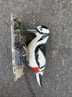 Woodpecker Cast Iron Door Knocker 